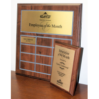 Fantastic Employee of the Month Plaque Special